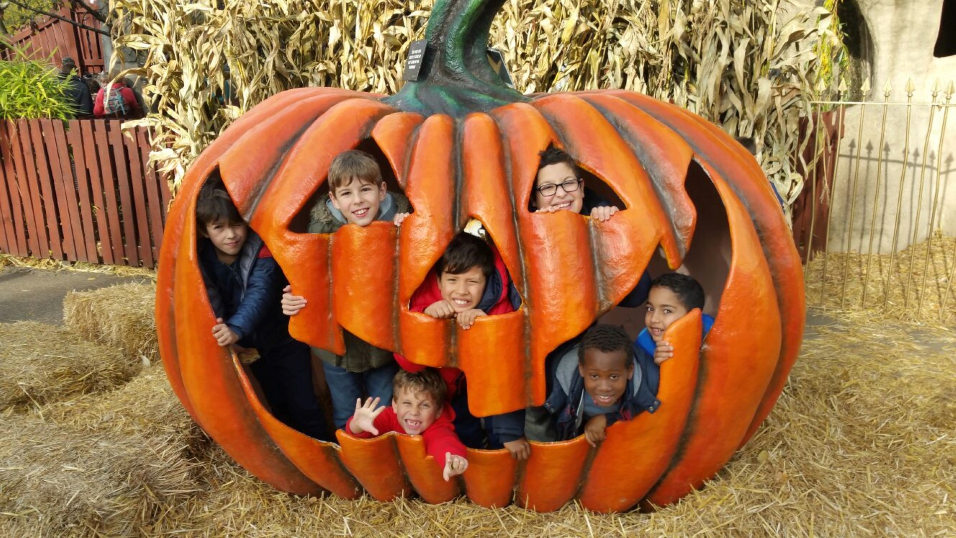 October 2016 Junior Holiday Scheme